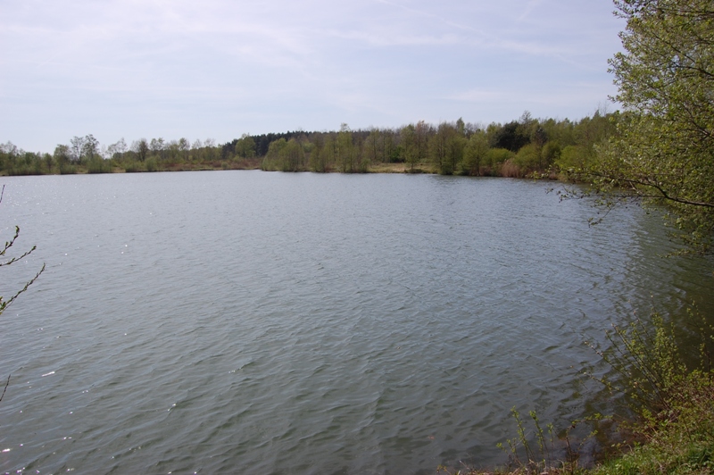 FBT Teich Hannover e. V.