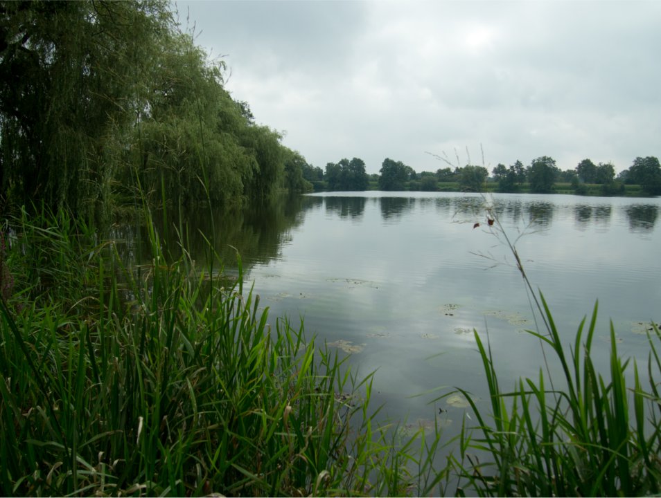 Kiebitzkrug See Hannover e. V.