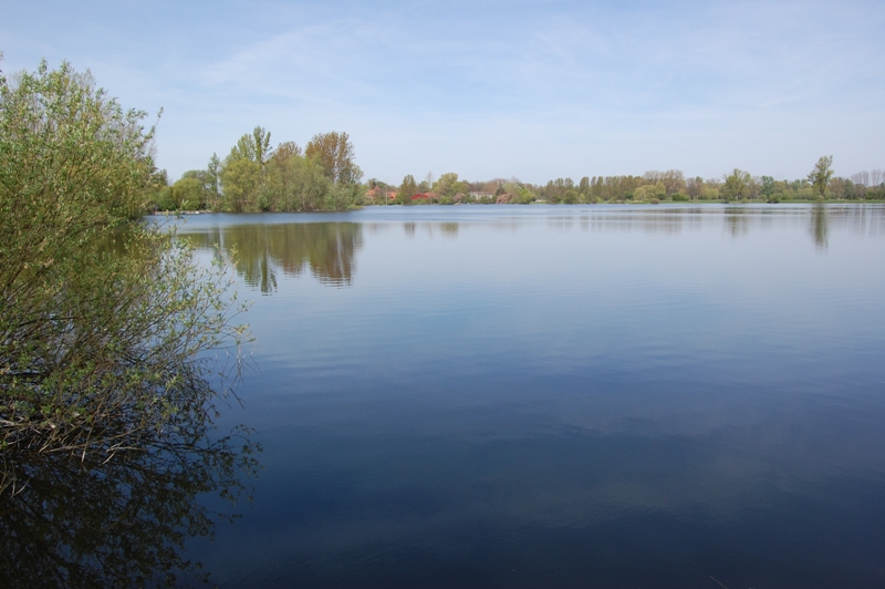 Schrage See Hannover e. V.